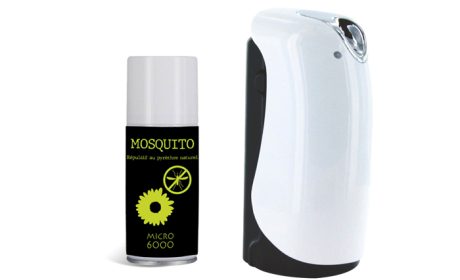 Mosquito